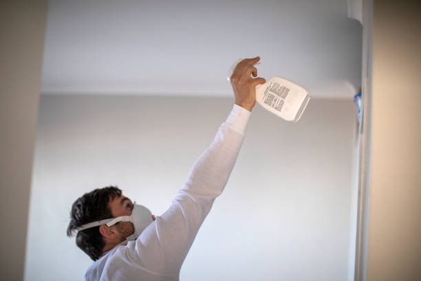Best Attic Mold Removal  in Seguin, TX