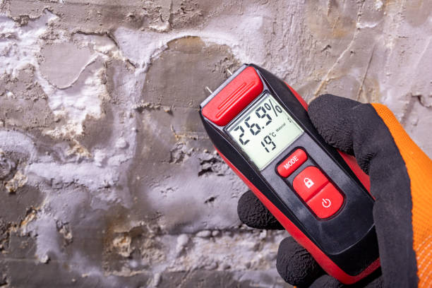 Best Local Mold Removal Service  in Seguin, TX